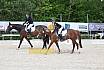 Samstag A Dresur
