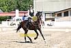 Sa Barock Reiten