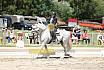 Sa Barock Reiten