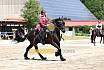 Sa Barock Reiten