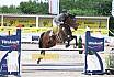 Samstag Amateur L
