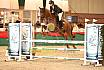 Freitag A Springen