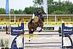 Samstag Amateur L