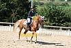 Samstag Reiterwettbewerb