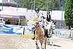 Samstag Springreiterwettbewerb 