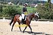 Samstag Reiterwettbewerb