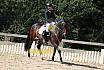 Samstag Reiterwettbewerb
