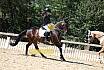 Samstag Reiterwettbewerb