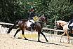 Samstag Reiterwettbewerb