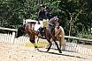 Samstag Reiterwettbewerb