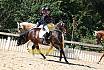 Samstag Reiterwettbewerb