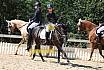 Samstag Reiterwettbewerb