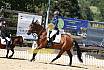 Samstag Reiterwettbewerb