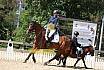 Samstag Reiterwettbewerb