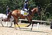 Samstag Reiterwettbewerb