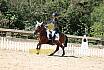 Samstag Reiterwettbewerb