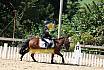 Samstag Reiterwettbewerb
