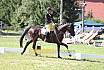Samstag A Dressur 2 