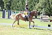 Samstag A Dressur 2 