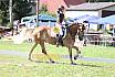 Samstag A Dressur 2 