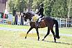 Samstag A Dressur 2 