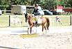 So L Dressur