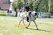 Samstag A Dressur 2 