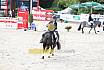 Donnerstag Reiterwettbewerb