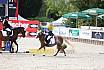 Donnerstag Reiterwettbewerb