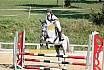 Samstag Springreiterwettbewerb