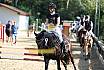 Samstag Springreiterwettbewerb