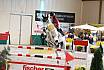 Samstag zwei Phasen S gro&szlig;e Tour