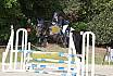 Sonntag Springpferde A ein Stern