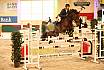 Donnerstag Youngster 7jaehrig