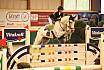 Donnerstag Youngster 7jaehrig