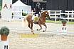 Sa A Dressur