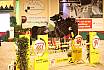 Donnerstag mittlere Tour