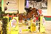 Donnerstag mittlere Tour