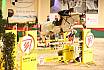 Donnerstag mittlere Tour