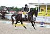 So M Dressur Jugend Trophy