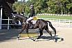 Springreiterwettbewerb