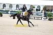 Do Youngster 7j&auml;hrig