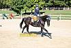 Springreiterwettbewerb