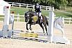 Springreiterwettbewerb