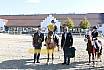 Springreiterwettbewerb