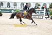 Do Youngster 7j&auml;hrig