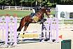 E Springen