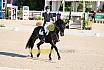 Fr S zwei Sterne Dressur