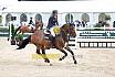 Do Youngster 7j&auml;hrig