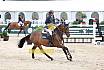 Do Youngster 7j&auml;hrig